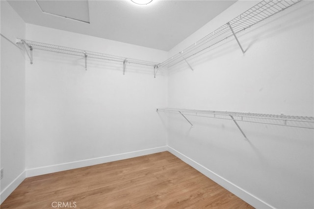827 La Cadena Ln, Corona, CA 92879 - walk in closet with attic access and light wood-style flooring