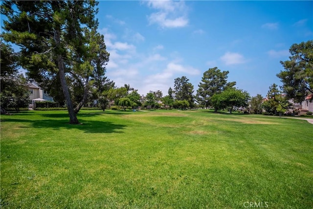 108 Sequoia Tree Ln, Irvine, CA 92612 - photo 46
