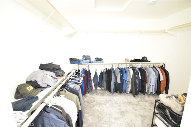 5280 Coyote St, Hemet, CA 92545 - spacious closet with carpet