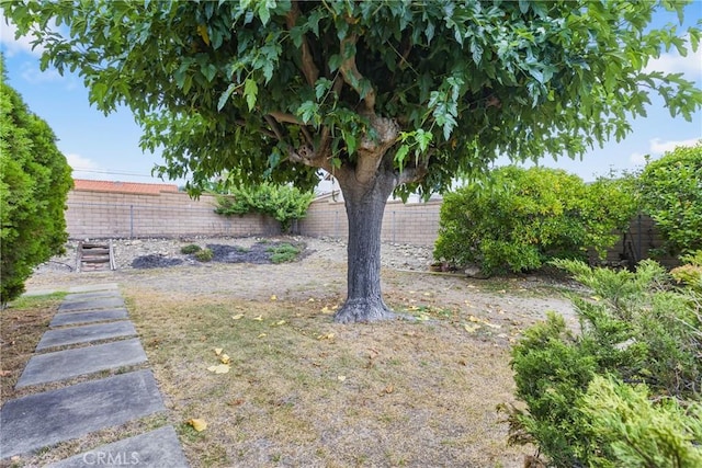 1788 N Coolcrest Ave, Upland, CA 91784 - photo 28