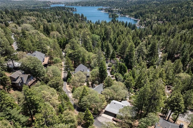 27319 Pinewood Dr, Lake Arrowhead, CA 92352 - photo 14