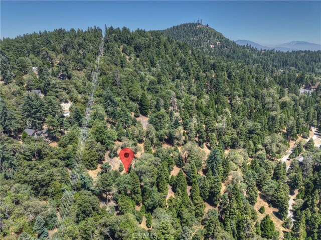 0 Pine Trl, Twin Peaks, CA 92391 - photo 5