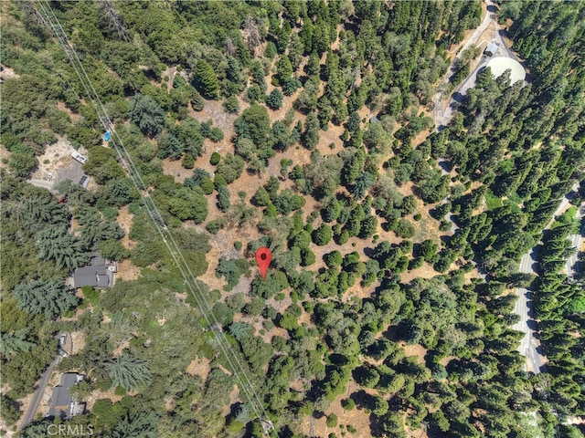 0 Pine Trl, Twin Peaks, CA 92391 - photo 2