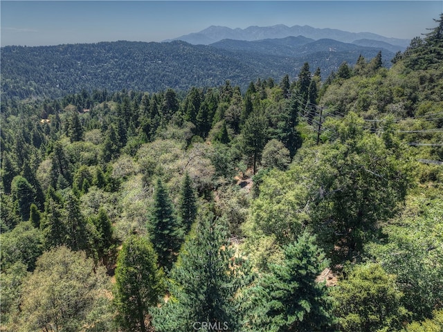 0 Pine Trl, Twin Peaks, CA 92391 - photo 9