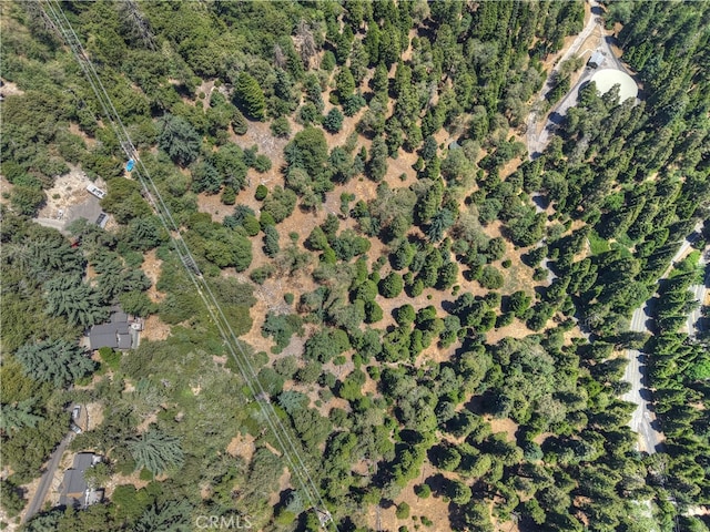 0 Pine Trl, Twin Peaks, CA 92391 - photo 6