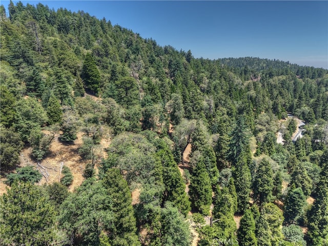 0 Pine Trl, Twin Peaks, CA 92391 - photo 7