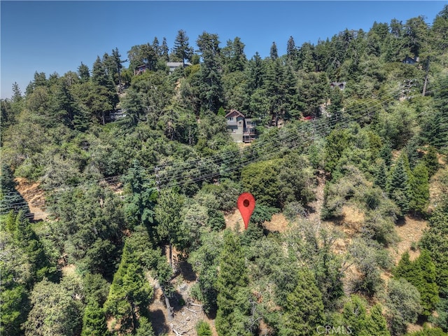 0 Pine Trl, Twin Peaks, CA 92391 - photo 3