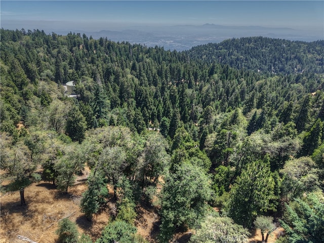 0 Pine Trl, Twin Peaks, CA 92391 - photo 8