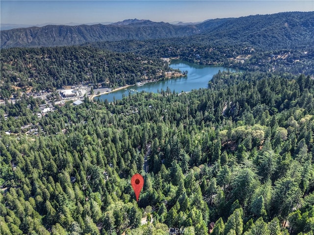 0 Lakeview Dr, Crestline, CA 92325 - photo 1