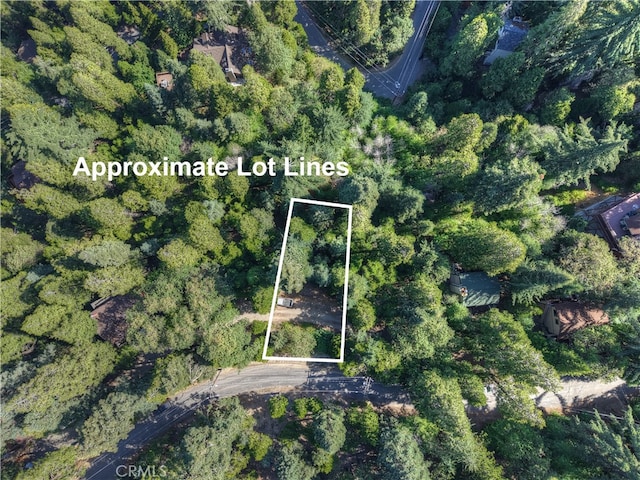 0 Lakeview Dr, Crestline, CA 92325 - photo 2