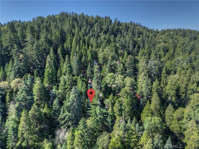 0 Lakeview Dr, Crestline, CA 92325 - photo 3