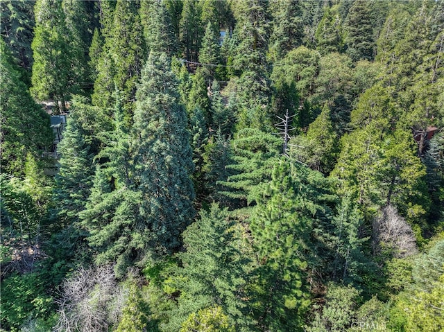 0 Lakeview Dr, Crestline, CA 92325 - photo 4