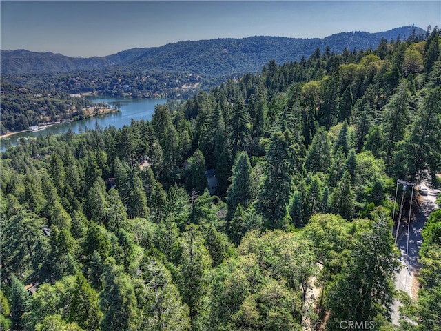 0 Lakeview Dr, Crestline, CA 92325 - photo 6