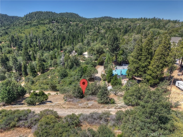 0 Balsam Dr, Cedar Glen, CA 92321