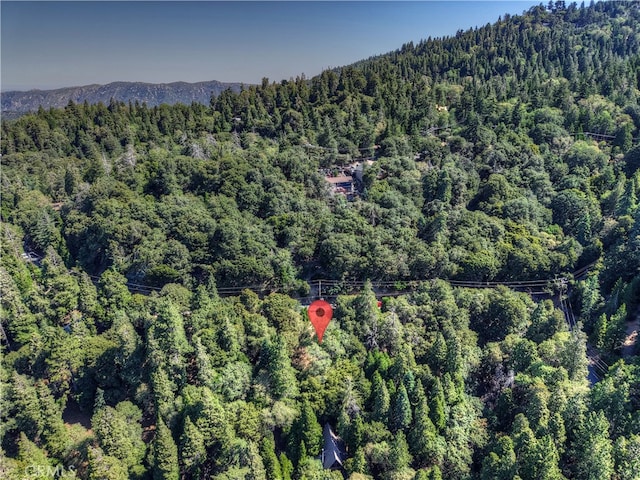 0 Basel Dr, Crestline, CA 92325 - photo 6