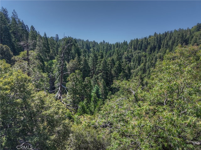 0 Basel Dr, Crestline, CA 92325 - photo 7