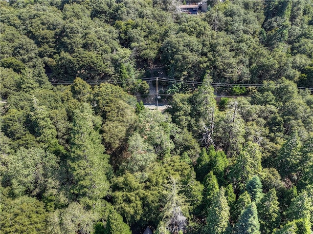 0 Basel Dr, Crestline, CA 92325 - photo 5