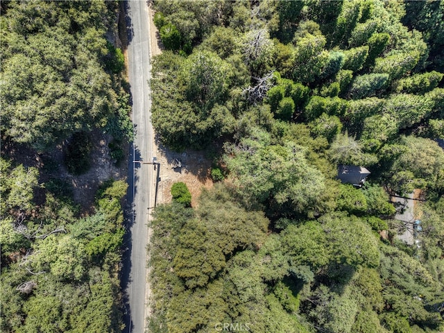 0 Basel Dr, Crestline, CA 92325 - photo 3