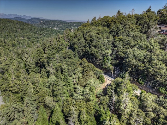 0 Basel Dr, Crestline, CA 92325 - photo 4