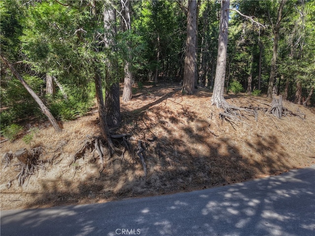 0 Altdorf Dr, Crestline, CA 92325 - photo 6