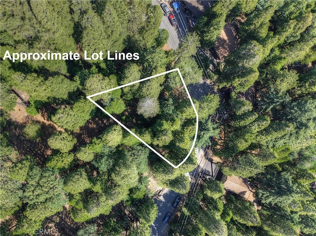 0 Altdorf Dr, Crestline, CA 92325 - photo 2