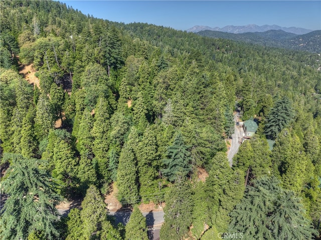 0 Altdorf Dr, Crestline, CA 92325 - photo 4