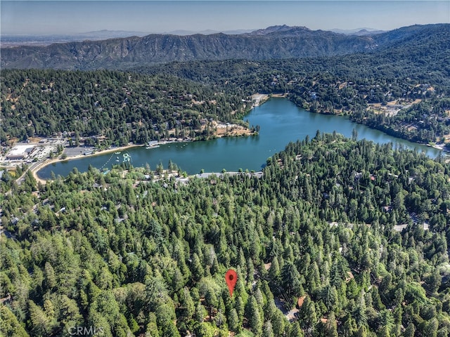 0 Altdorf Dr, Crestline, CA 92325 - photo 7