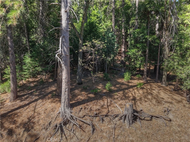 0 Altdorf Dr, Crestline, CA 92325 - photo 5