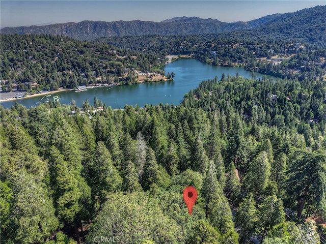 0 Altdorf Dr, Crestline, CA 92325 - photo 1