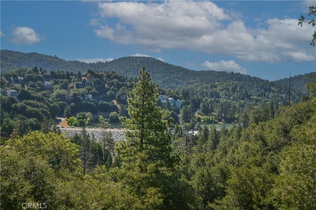 237 E Zermat Dr, Crestline, CA 92325 - photo 35