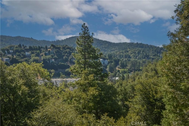 237 E Zermat Dr, Crestline, CA 92325 - photo 36