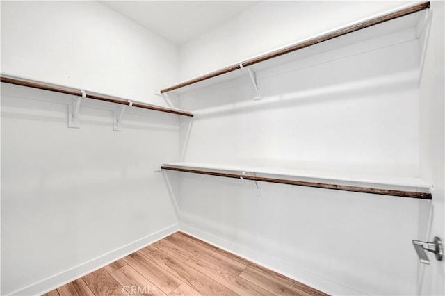 1660 Capri Way, Beaumont, CA 92223 - walk in closet with light wood-style flooring