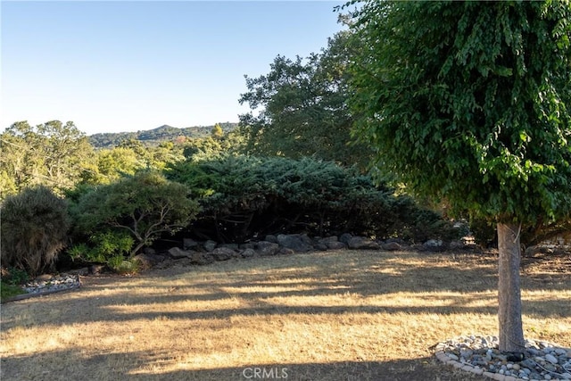 7025 San Gabriel Rd, Atascadero, CA 93422 - photo 49