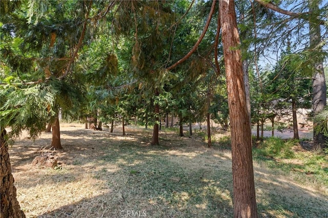 14047 Drexel Dr, Magalia, CA 95954 - photo 45