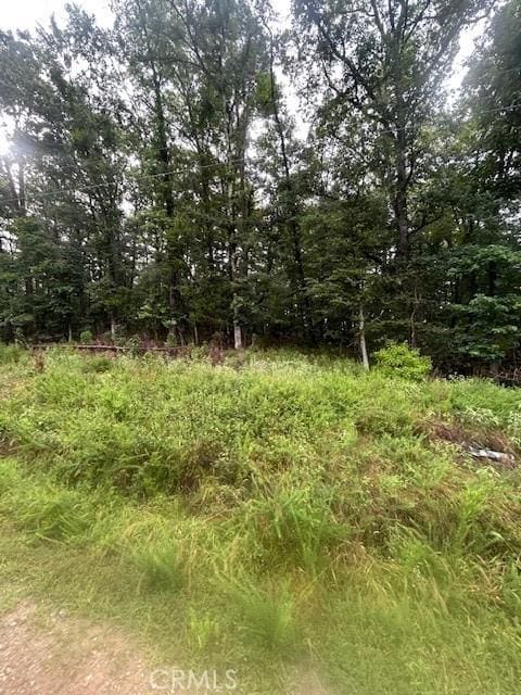 24 Edgemont Dr, Fenter Township, AR 71913 - photo 5