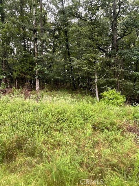 24 Edgemont Dr, Fenter Township, AR 71913 - photo 4