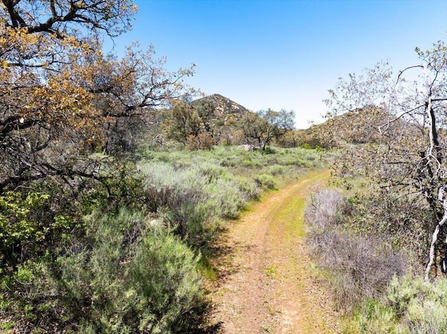 Rockwood Rd, Escondido, CA 92027 - photo 12
