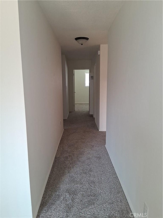 26460 Girard St, Hemet, CA 92544 - photo 6