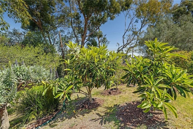 4321 Via Azalea, Palos Verdes Estates, CA 90274 - photo 22
