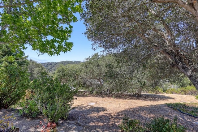 242 Hilltop Dr, Avila Beach, CA 93424 - photo 7