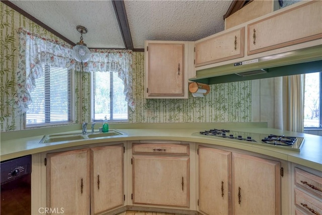 242 Hilltop Dr, Avila Beach, CA 93424 - photo 12