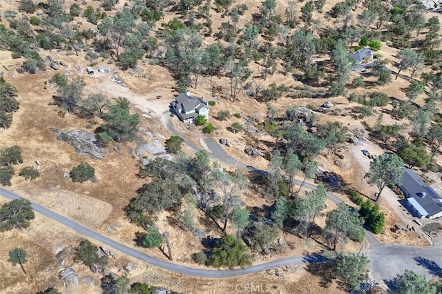29029 Sequoia Ct, Coarsegold, CA 93614 - photo 40