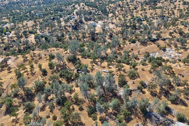 29029 Sequoia Ct, Coarsegold, CA 93614 - photo 48