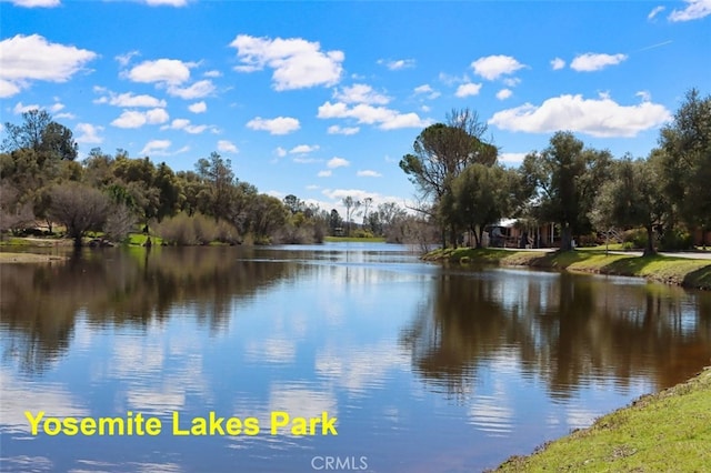 29029 Sequoia Ct, Coarsegold, CA 93614 - photo 45
