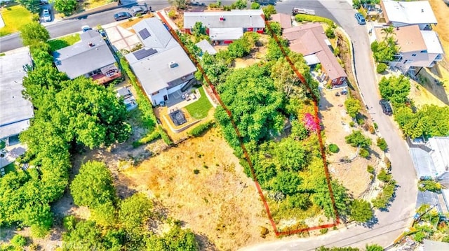 3917 Paige St, Los Angeles, CA 90031 - photo 13