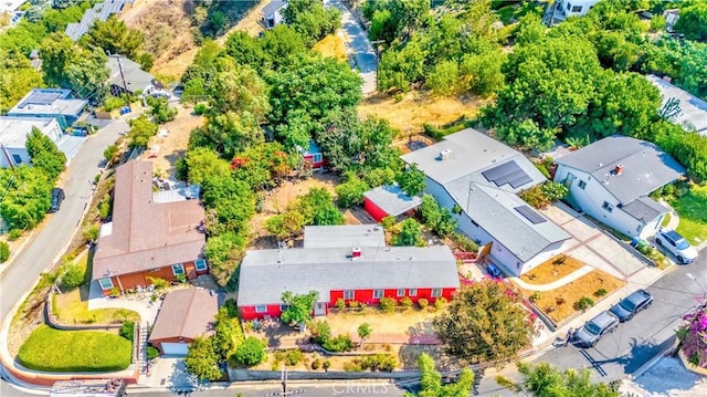 3917 Paige St, Los Angeles, CA 90031 - photo 12