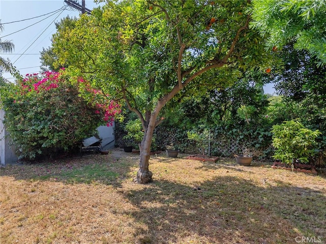 10348 Woodbridge St, Toluca Lake, CA 91602 - view of grassy yard