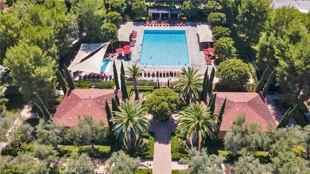 24 Umbria, Irvine, CA 92618 - photo 51