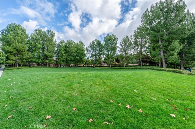 24 Umbria, Irvine, CA 92618 - photo 59