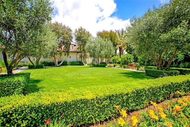 1 Corte Sagrada, San Clemente, CA 92673 - photo 33